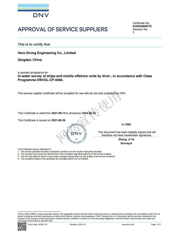 DNV Service Suppliers Approval Certificate
