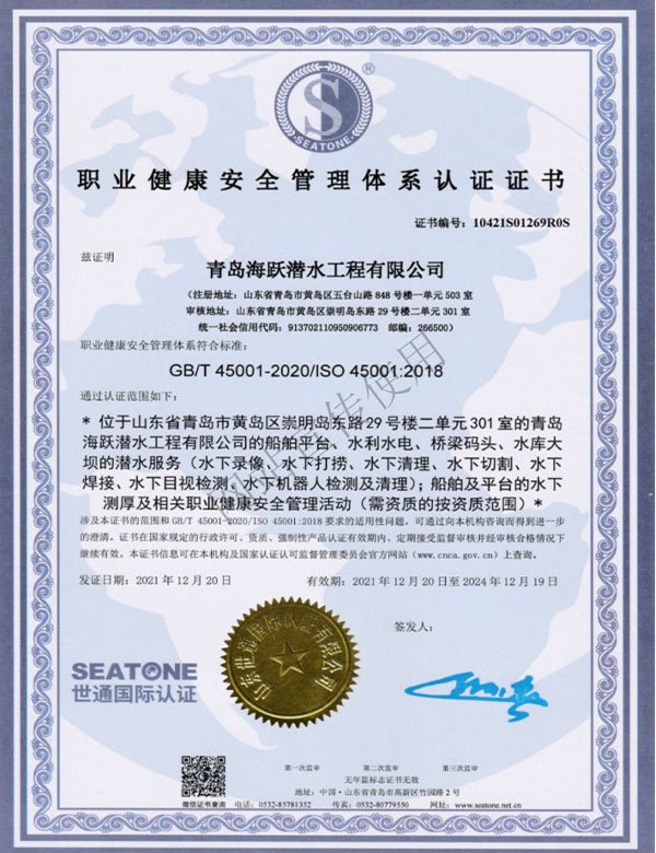 Vocational Health and Safety Management System Certificate