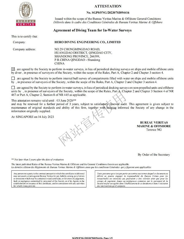 BV Service Suppliers Approval Certificate